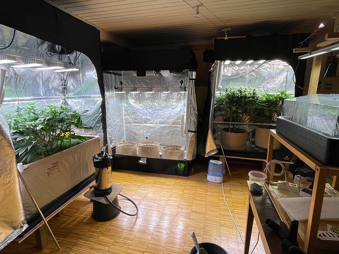 Growreport Bild 19