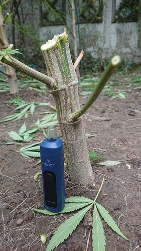 Growreport Bild 14