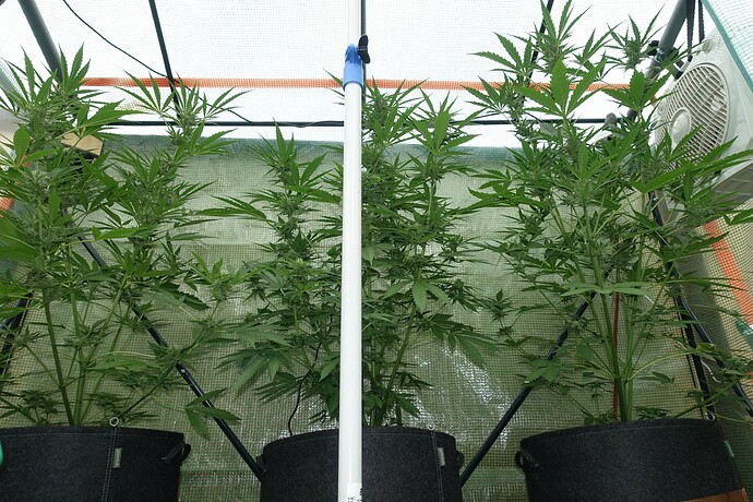 Growreport Bild 13