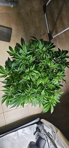 Growreport Bild 16