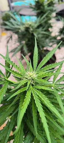 Growreport Bild 11