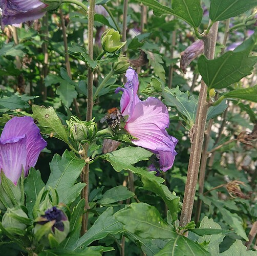 Growreport Bild 15