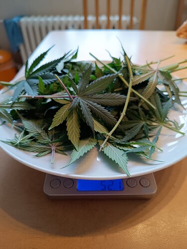 Growreport Bild 12