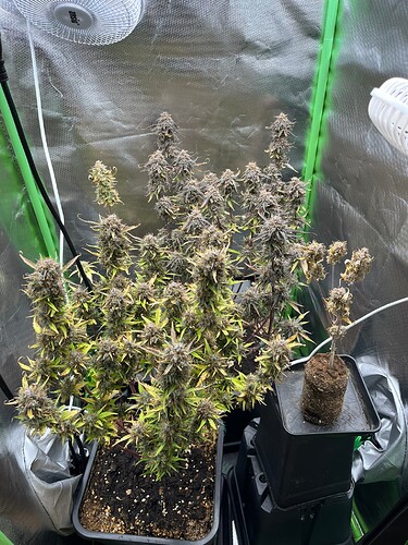 Growreport Bild 10