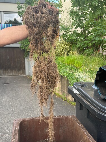 Growreport Bild 14