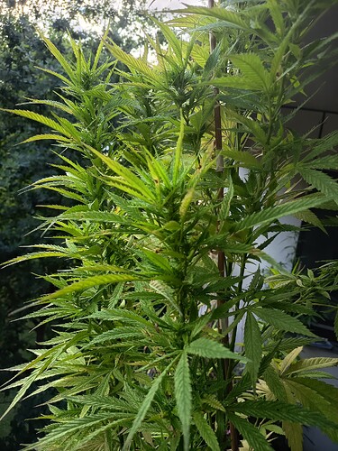 Growreport Bild 8