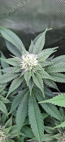Growreport Bild 10