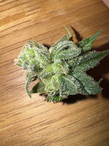 Growreport Bild 14