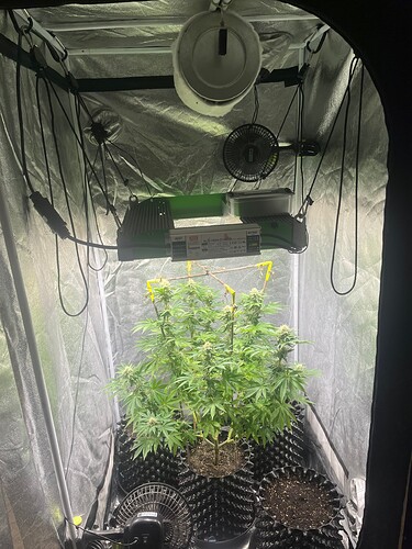 Growreport Bild 1