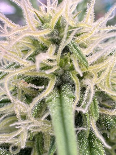 Growreport Bild 15