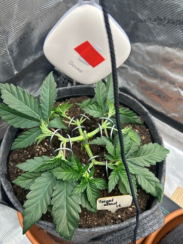 Growreport Bild 8
