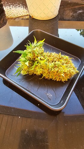 Growreport Bild 3