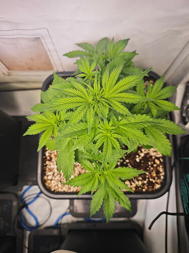 Growreport Bild 23