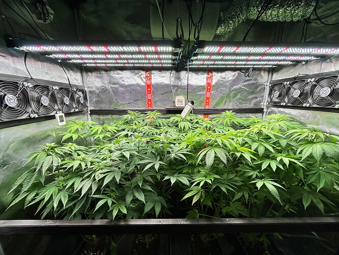 Growreport Bild 33
