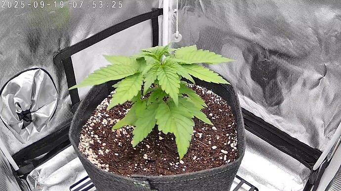 DC62798BA14B_20250919075327192