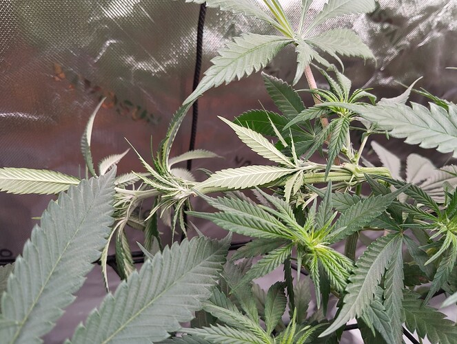 Growreport Bild 8