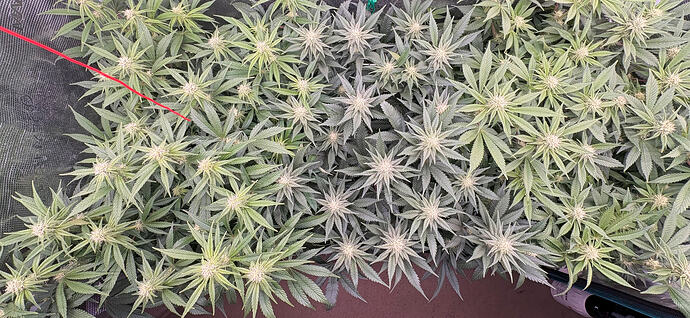 Foto 10.01.26, 06 12 07