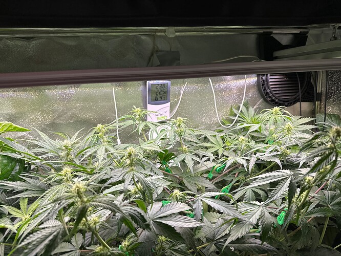 Growreport Bild 7