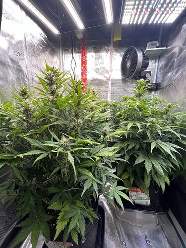 Growreport Bild 3