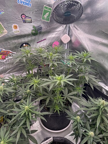 Growreport Bild 25