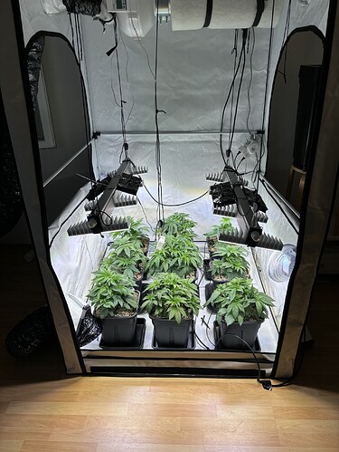 Growreport Bild 13