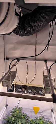 Growreport Bild 37