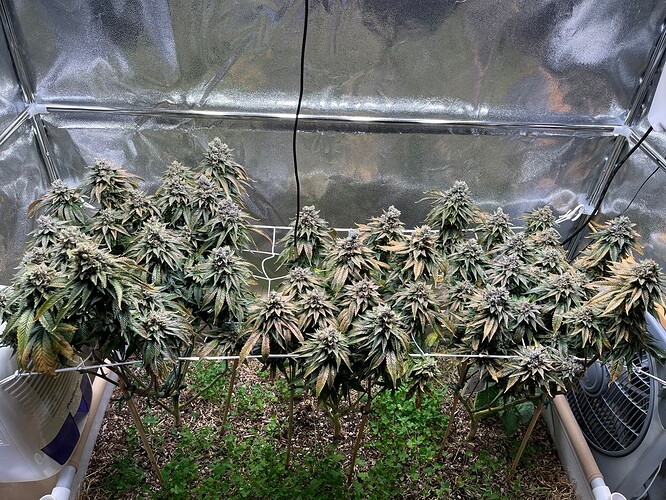 Growreport Bild 2