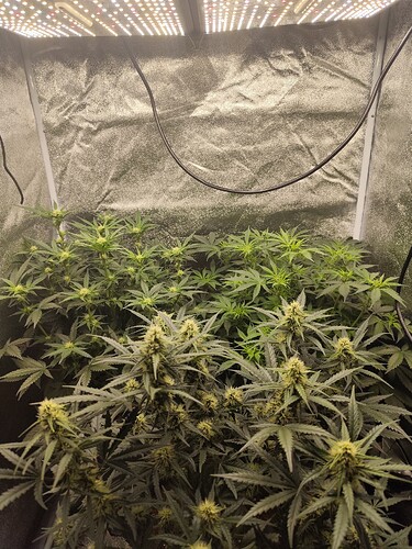 Growreport Bild 13