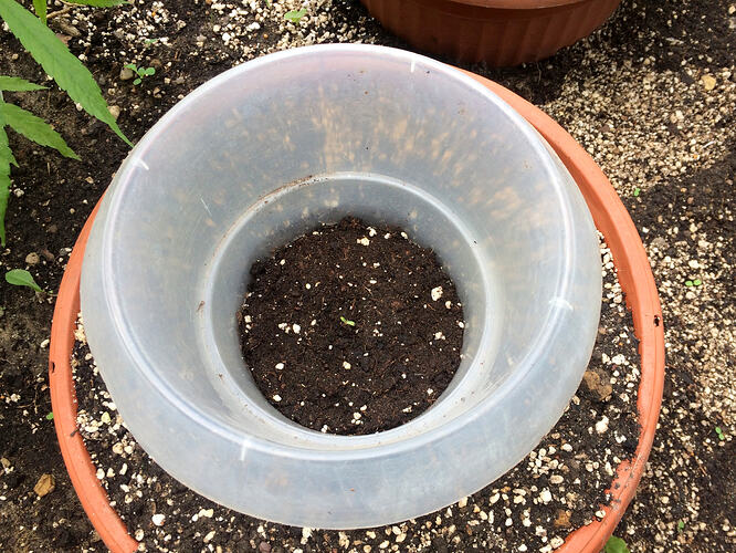 Grow26071901