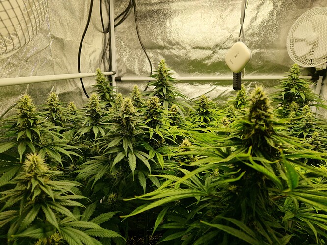 Growreport Bild 12