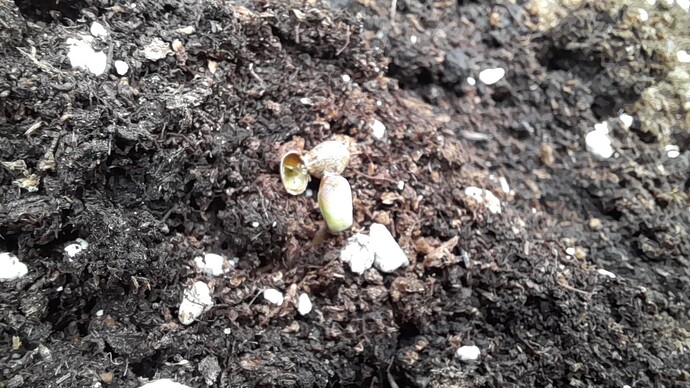Growreport Bild 6