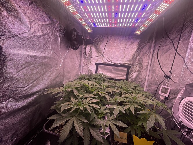 Growreport Bild 9