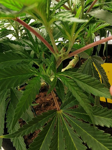 Growreport Bild 14