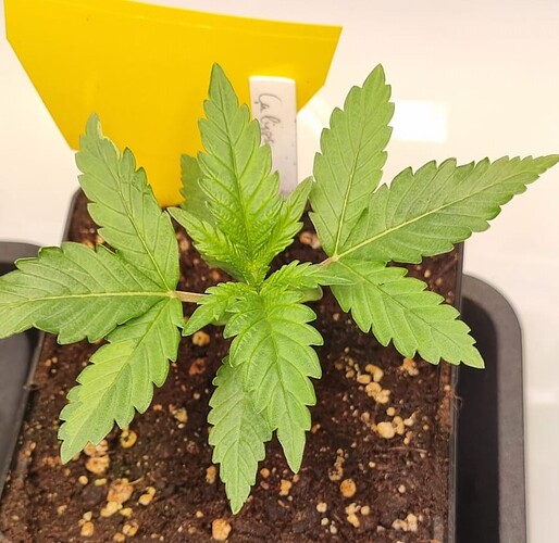 WhatsApp Image 2024-11-06 at 18.30.44 (1)