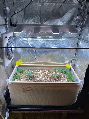 Growreport Bild 31