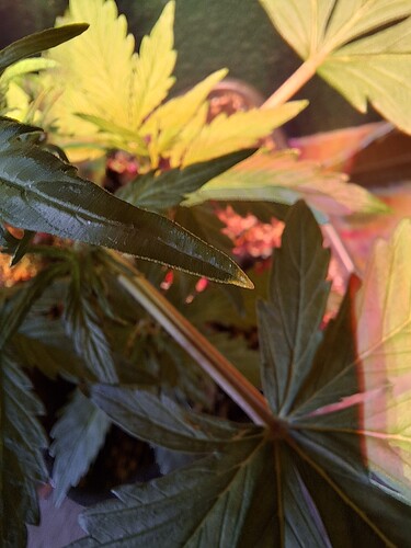 Growreport Bild 15