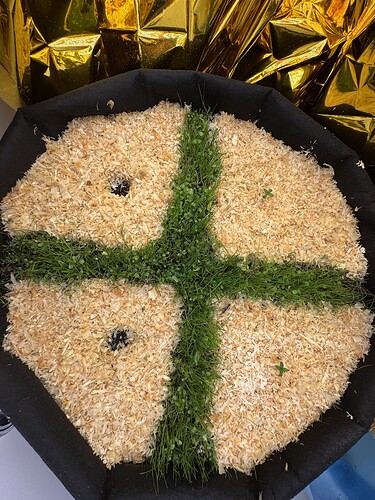 Growreport Bild 36