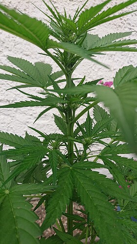 Growreport Bild 21