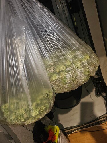 Growreport Bild 18