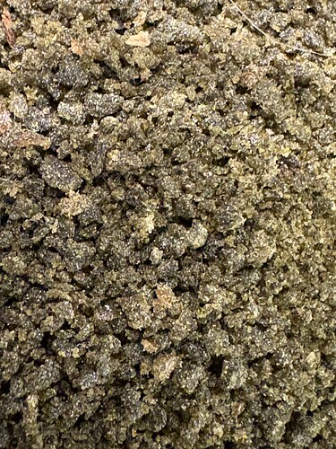Growreport Bild 7