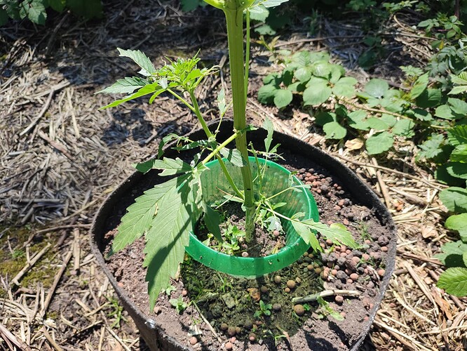 Growreport Bild 33