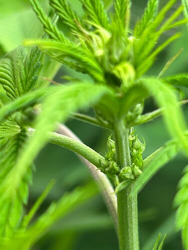 Growreport Bild 8