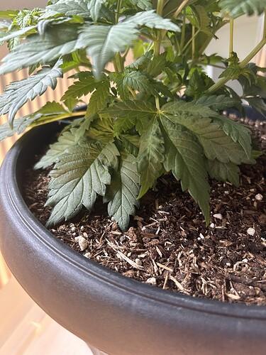 Growreport Bild 24