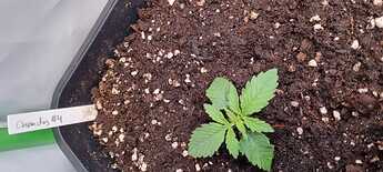 WhatsApp Image 2024-05-05 at 13.58.10