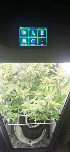 Growreport Bild 2