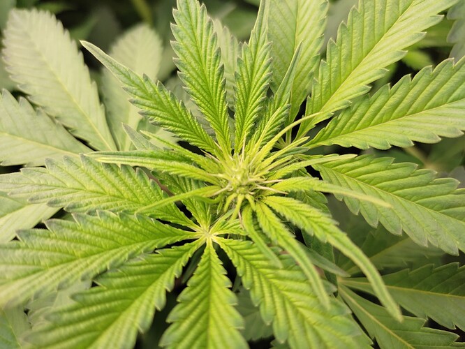Growreport Bild 15