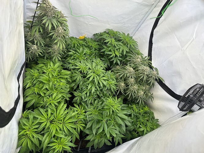 Growreport Bild 4