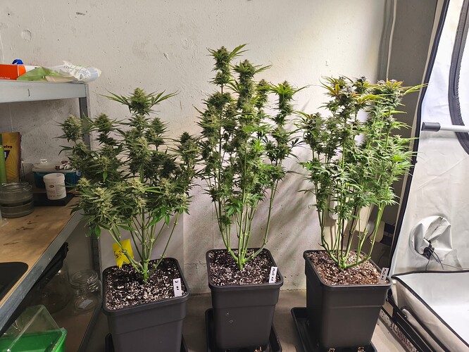 Growreport Bild 8