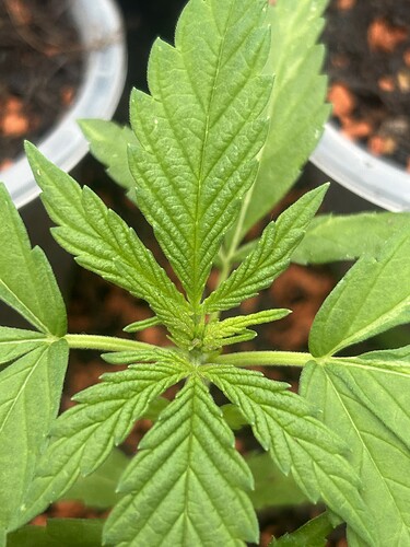 Growreport Bild 16