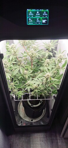 IMG_20240615_215058
